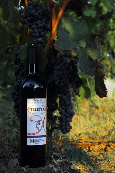 Vinarija Milisavljević